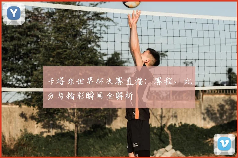 卡塔尔世界杯决赛直播：赛程、比分与精彩瞬间全解析
